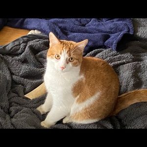 Meet your Posher, Rebecca